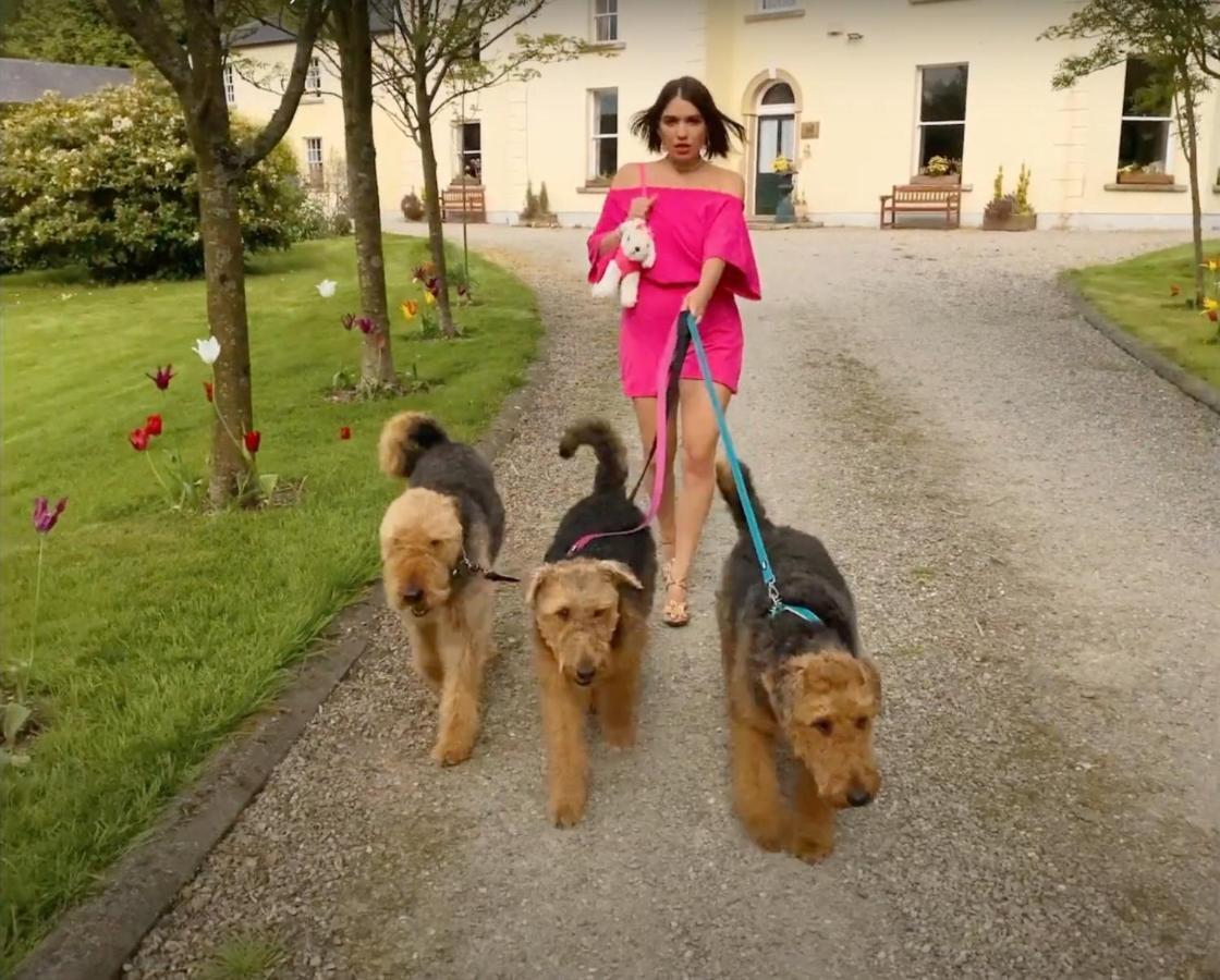 Clone Country House Огрим Екстериор снимка Airedale Terriers